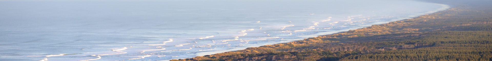 216 Luxury Acccommodation Muriwai Beach Auckland